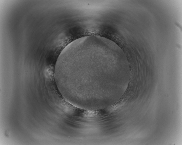 X0000097800672200804110926