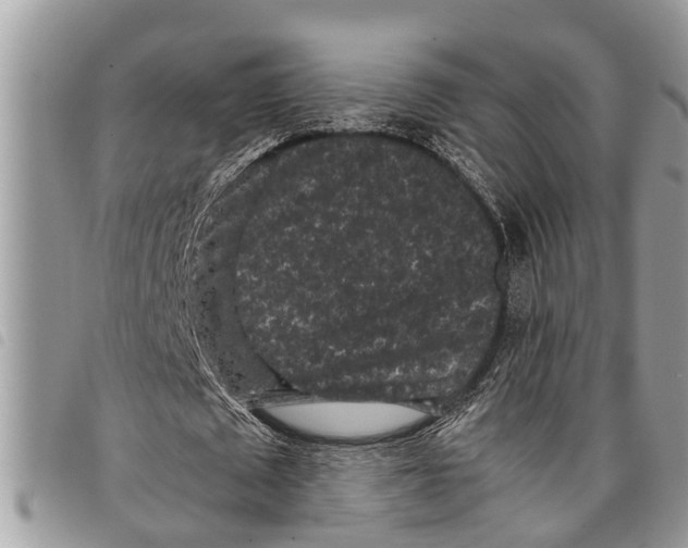 X0000097800673200804110925