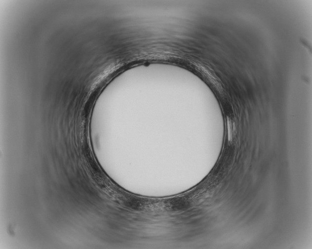 X0000097800675200804110925