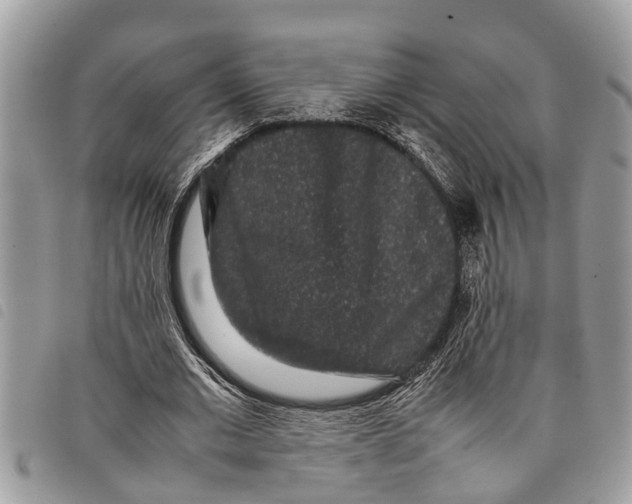 X0000097800677200804110925