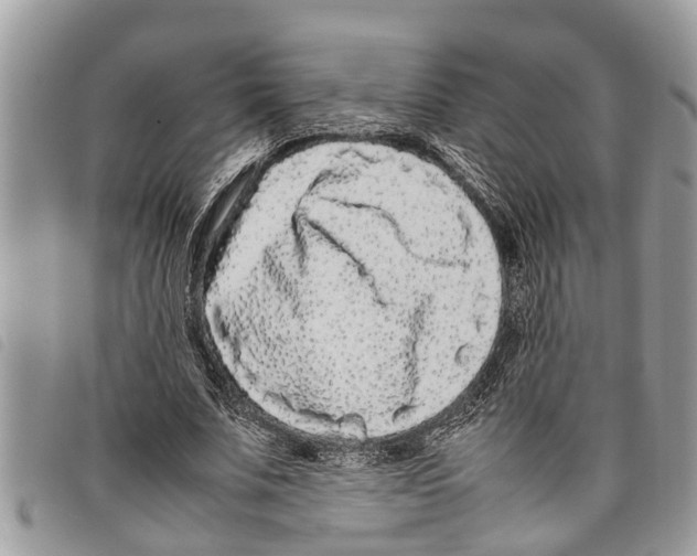 X0000097800679200804110925