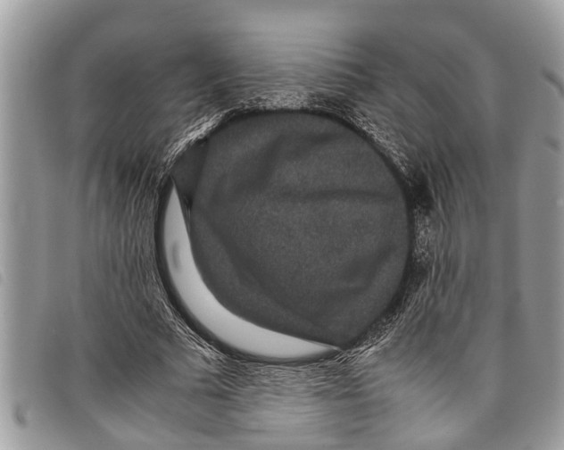 X0000097800681200804110925