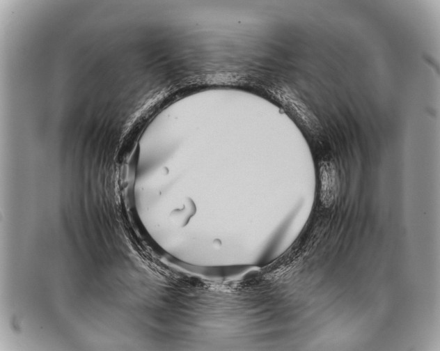 X0000097800684200804110925