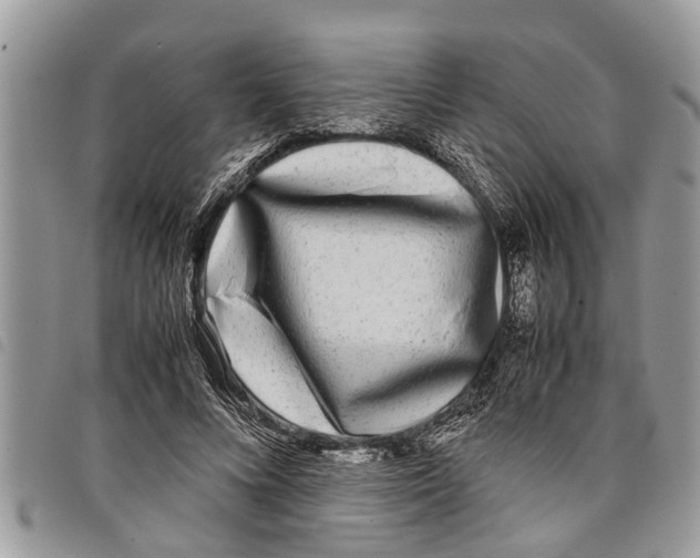 X0000097800688200804110925