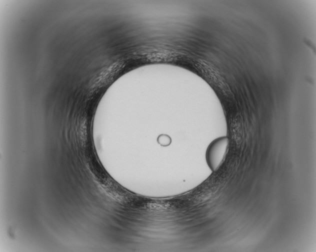 X0000097800690200804110925