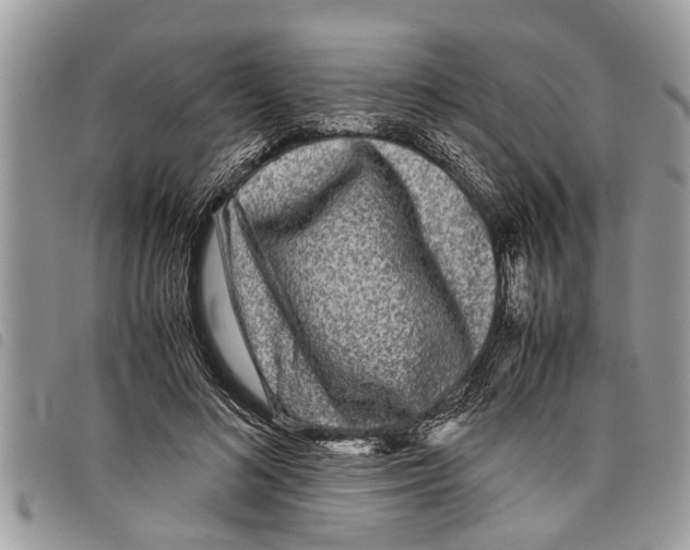 X0000097800692200804110925