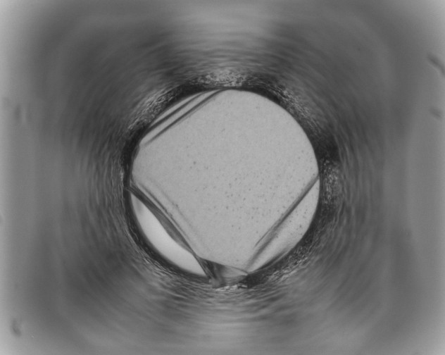 X0000097800693200804110925