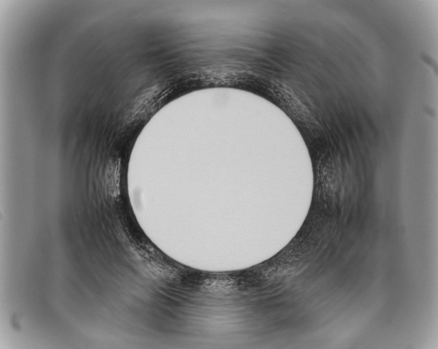 X0000097800694200804110925