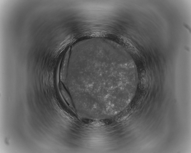 X0000097800696200804110925