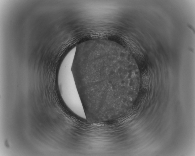 X0000097800699200804110925