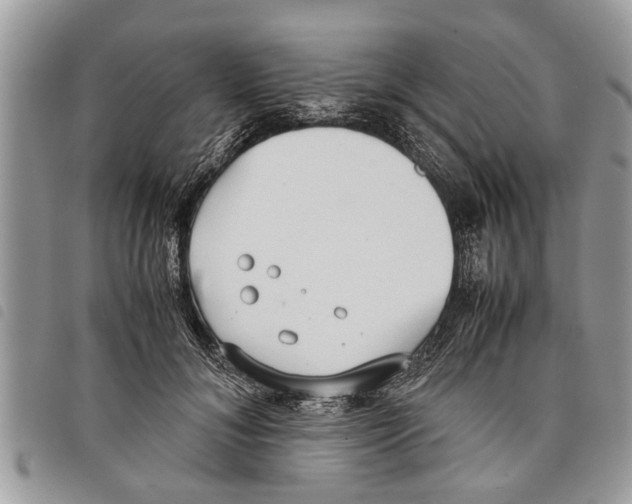 X0000097800700200804110924