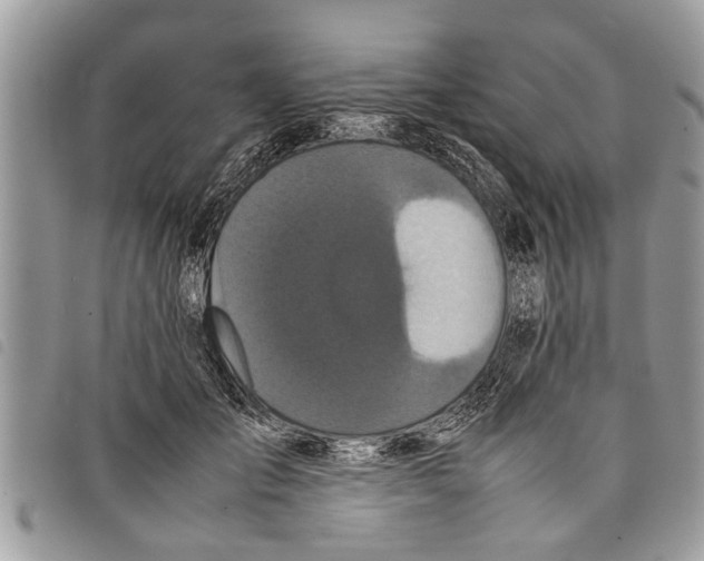 X0000097800701200804110924