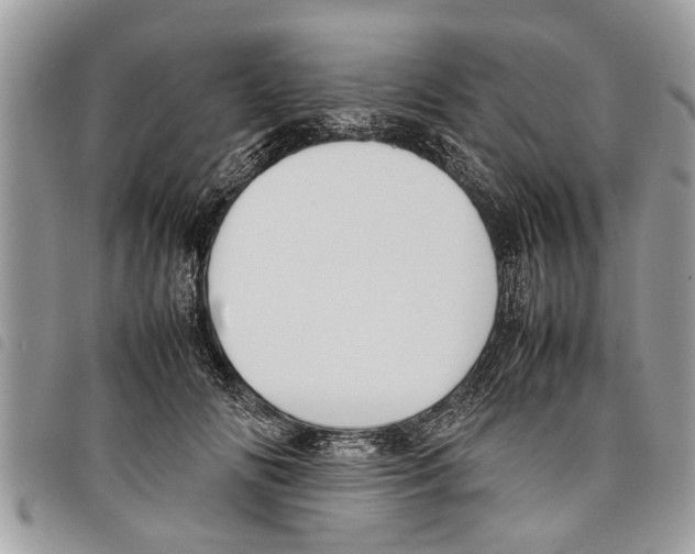 X0000097800702200804110924