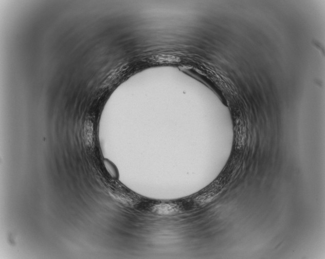 X0000097800704200804110924