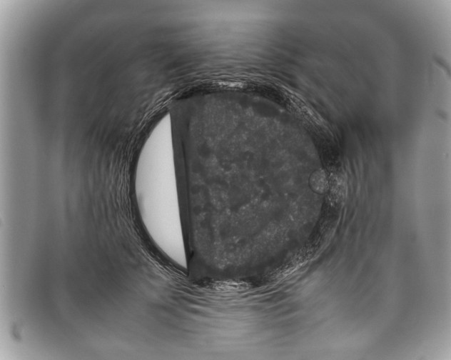 X0000097800707200804110924