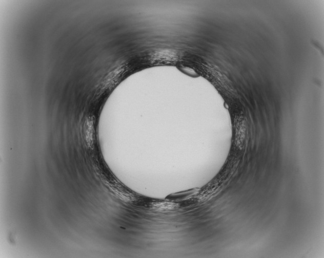 X0000097800708200804110924