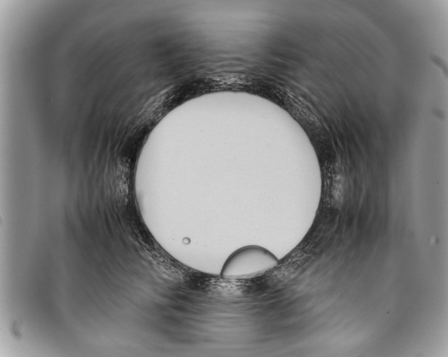 X0000097800710200804110924