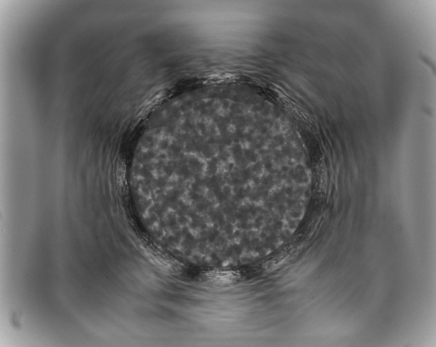 X0000097800711200804110924