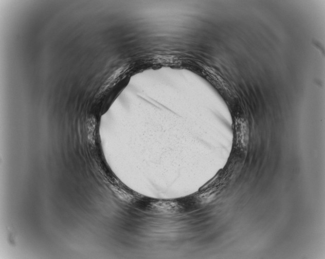 X0000097800712200804110924