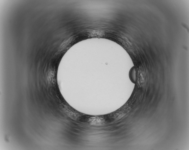 X0000097800714200804110924