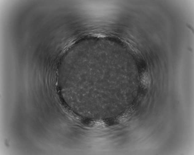 X0000097800715200804110924