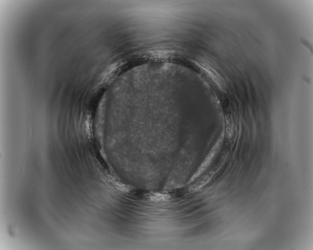 X0000097800718200804110924