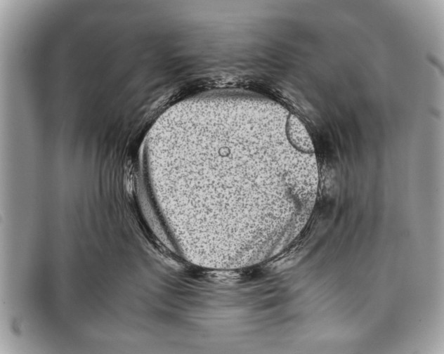 X0000097800719200804110924