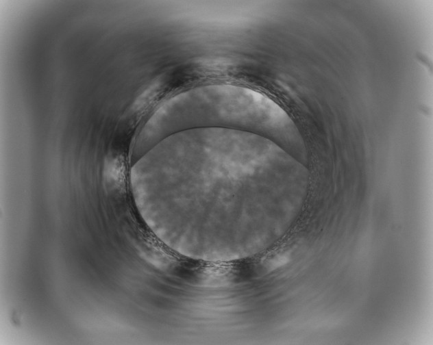 X0000097800720200804110924