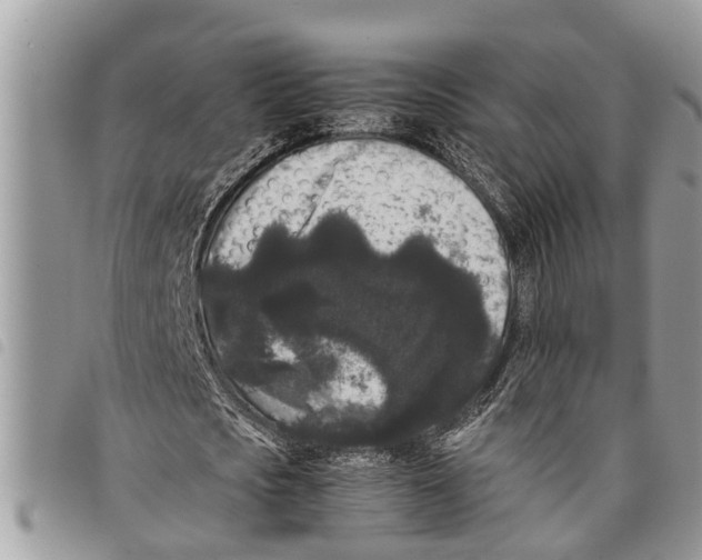 X0000097800721200804110923