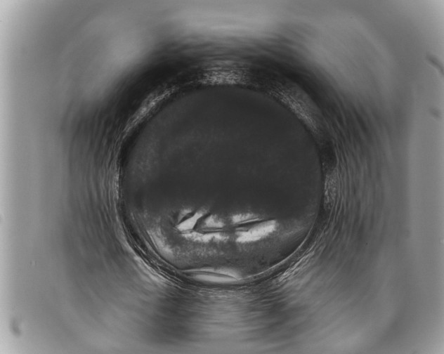 X0000097800722200804110923