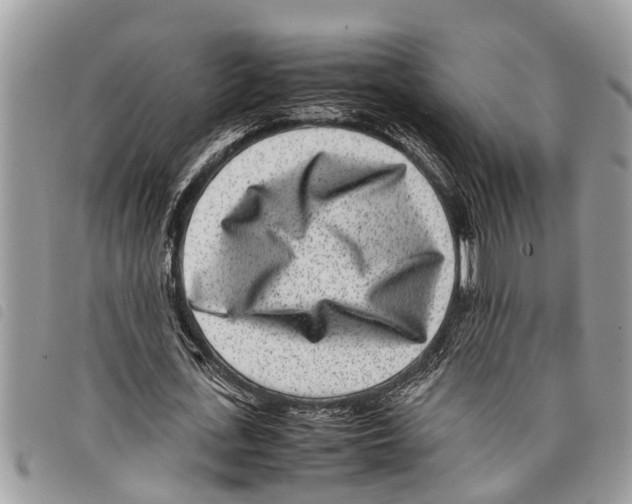 X0000097800723200804110923