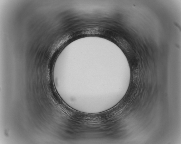 X0000097800727200804110923