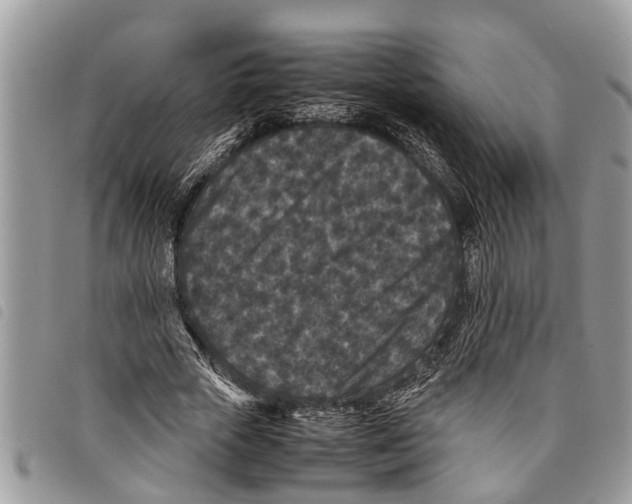 X0000097800729200804110923