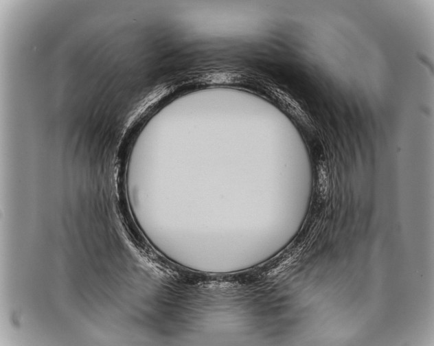 X0000097800730200804110923