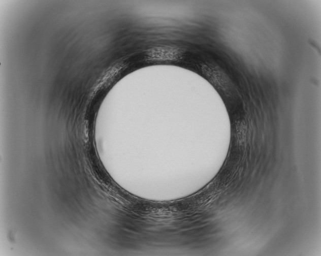 X0000097800731200804110923