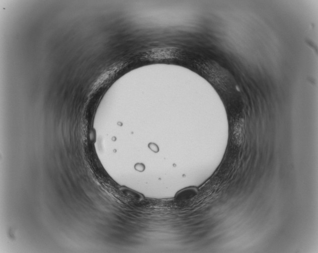 X0000097800732200804110923