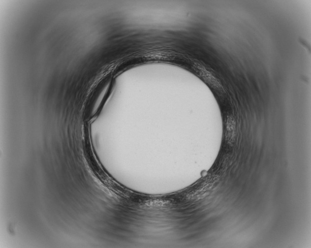 X0000097800734200804110923