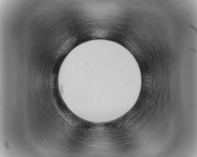 X0000097800738200804110923