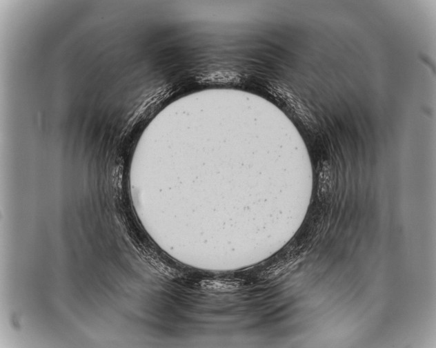 X0000097800739200804110924