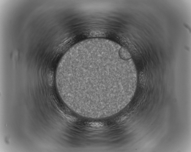 X0000097800741200804110924