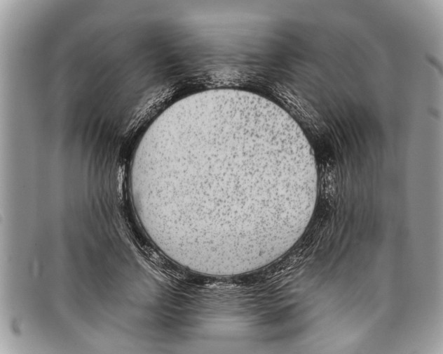 X0000097800742200804110924