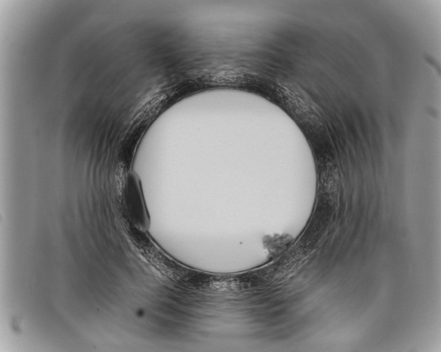 X0000097800744200804110924