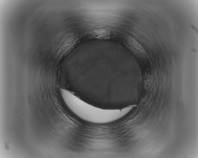 X0000097800748200804110924