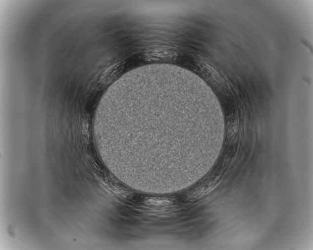 X0000097800749200804110924