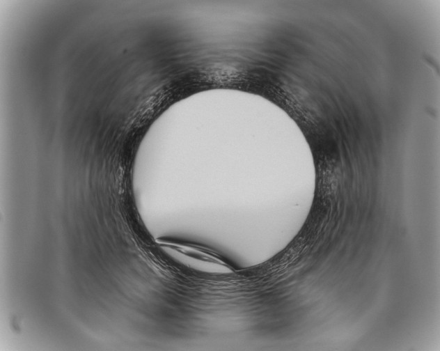 X0000097800750200804110924