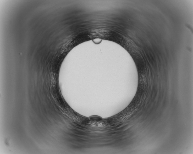 X0000097800751200804110924