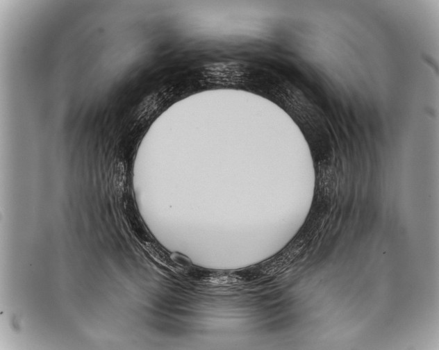 X0000097800752200804110924