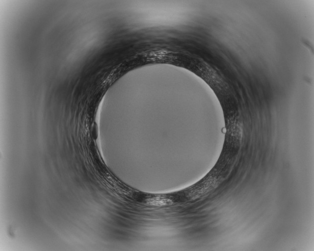 X0000097800754200804110924