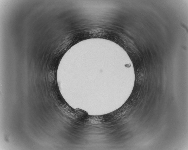 X0000097800756200804110924