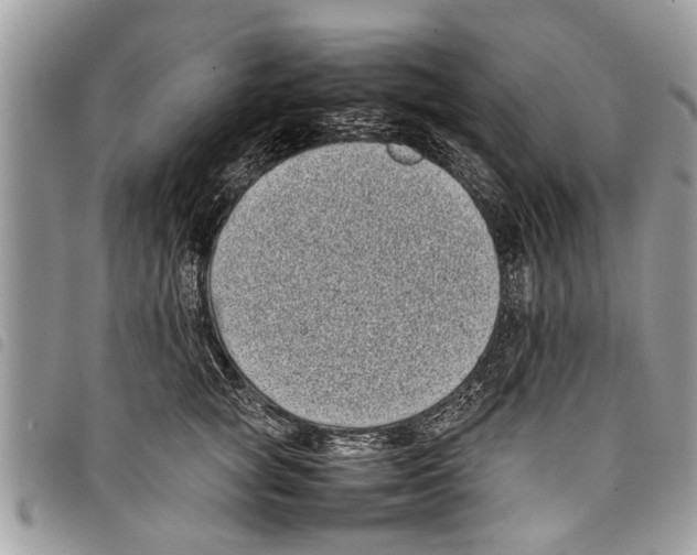 X0000097800757200804110924